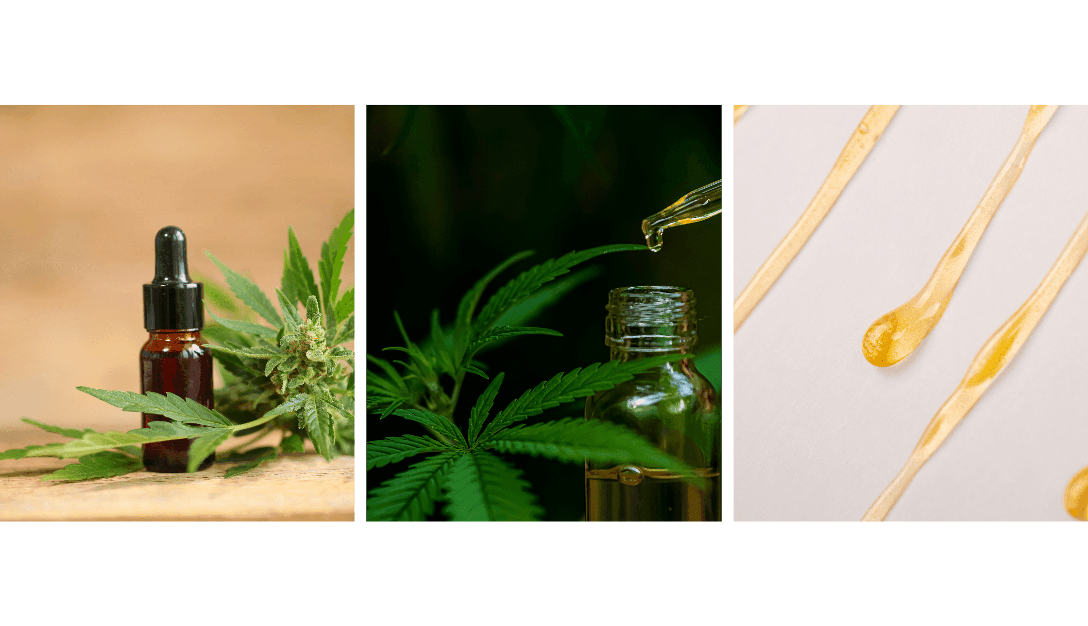 Tropfen von Cannabisextrakt auf weißem Hintergrund